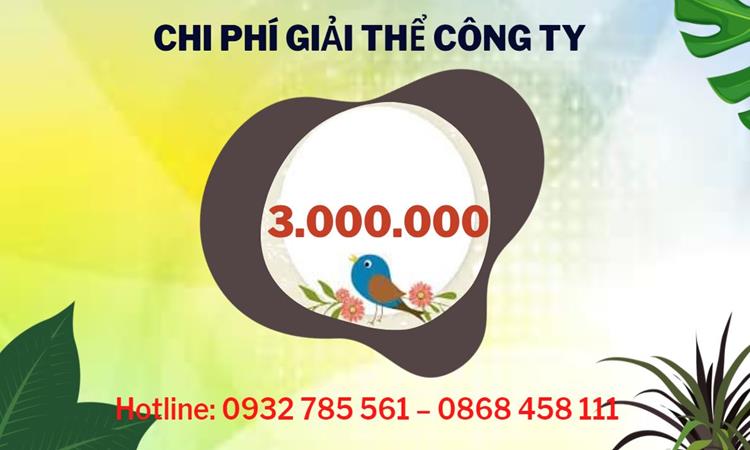 Dịch vụ giải thể công ty tại Huyện Chương Mỹ