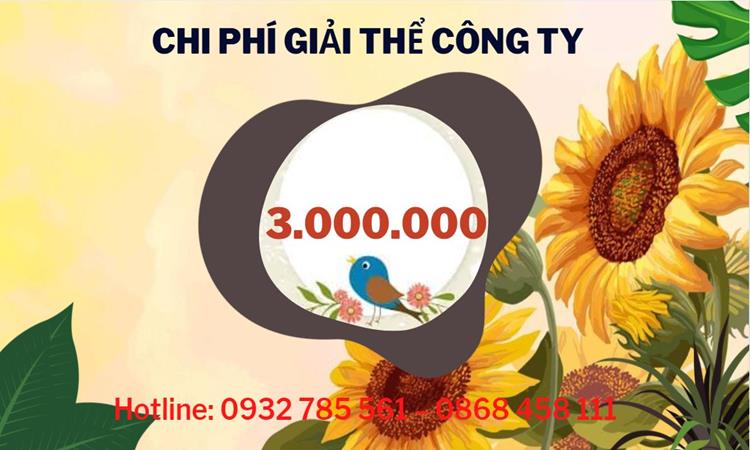 THỦ TỤC GIẢI THỂ CÔNG TY TẠI HUYỆN CỦ CHI CHUYÊN NGHIỆP NHANH 5 Dịch vụ giải thể công ty tại Huyện Củ Chi