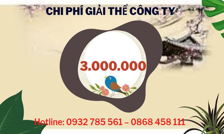 Dịch vụ giải thể công ty tại Huyện Hoài Đức