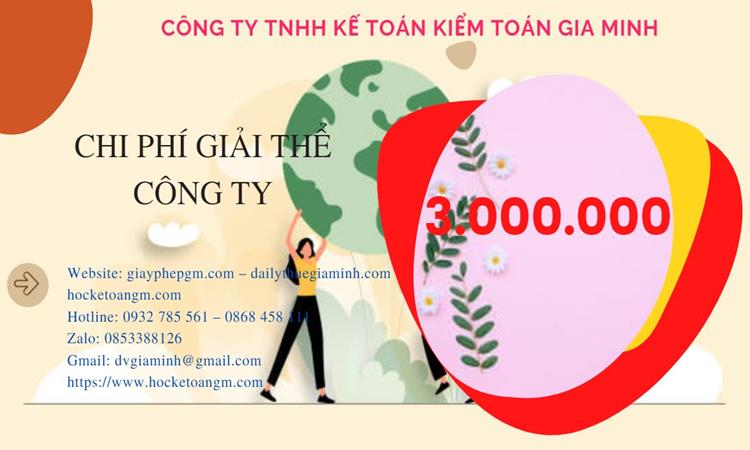 Dịch vụ giải thể công ty tại Huyện Hóc Môn