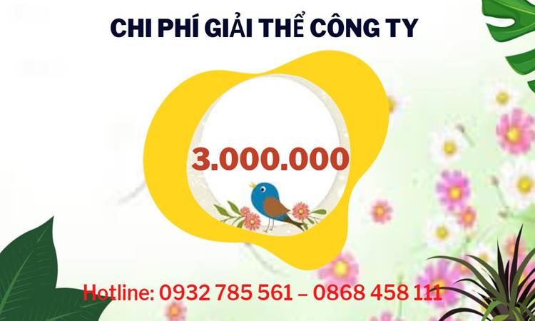 THỦ TỤC GIẢI THỂ CÔNG TY TẠI HUYỆN THANH LIÊM CHUYÊN NGHIỆP NHANH 2025 5 Dịch vụ giải thể công ty tại Huyện Thanh Liêm