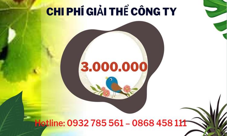 Dịch vụ giải thể công ty tại Huyện Thanh Oai