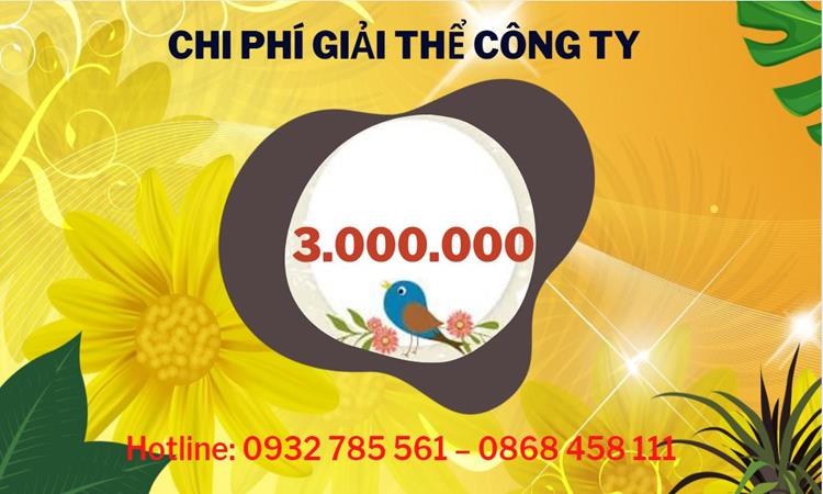 Dịch vụ giải thể công ty tại Quận 12