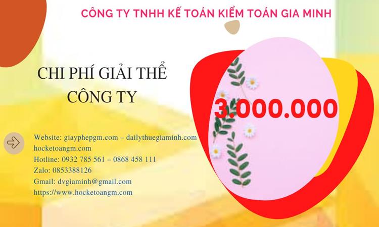 THỦ TỤC GIẢI THỂ CÔNG TY TẠI QUẬN BÌNH TÂN CHUYÊN NGHIỆP NHANH 5 Dịch vụ giải thể công ty tại Quận Bình Tân