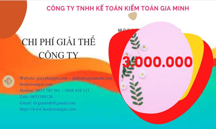 Dịch vụ giải thể công ty tại Quận Gò Vấp