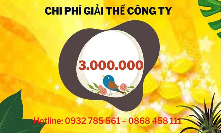 Dịch vụ giải thể công ty tại Quận Phú Nhuận