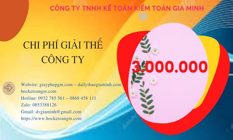 Dịch vụ giải thể công ty tại Quận Tân Bình