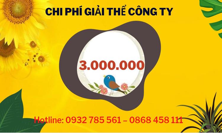 Dịch vụ giải thể công ty tại Quận Tân Phú