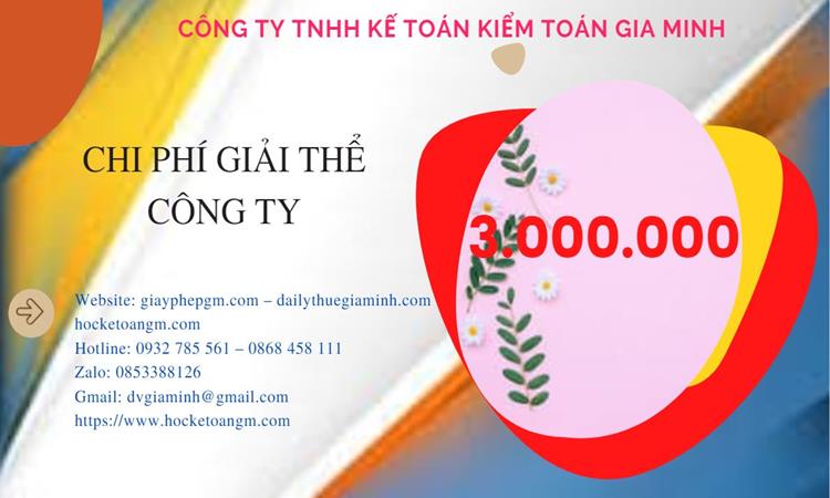 Dịch vụ giải thể công ty tại Quận Thủ Đức