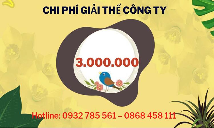 Dịch vụ giải thể công ty tại Thành Phố Thủ Đức