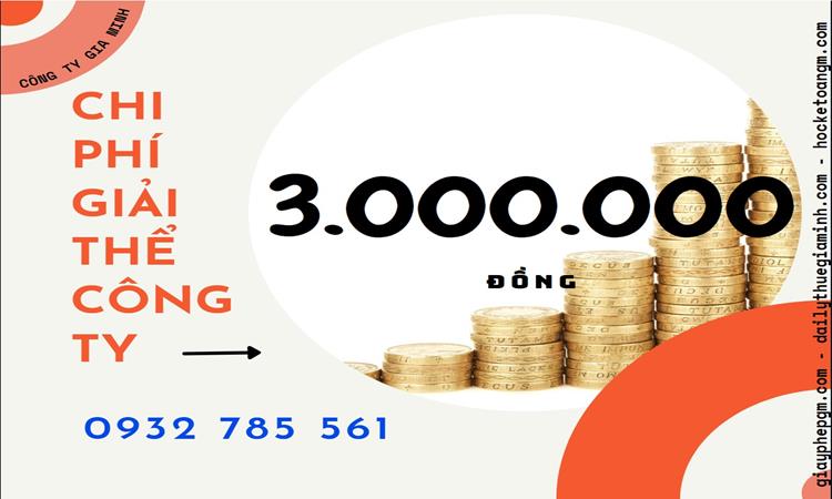 THỦ TỤC GIẢI THỂ CÔNG TY TẠI TRÀ VINH CHUYÊN NGHIỆP NHANH 2 Dịch vụ giải thể công ty tại Trà Vinh