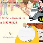Hướng dẫn giải thể công ty tại Quận Bình Thạnh