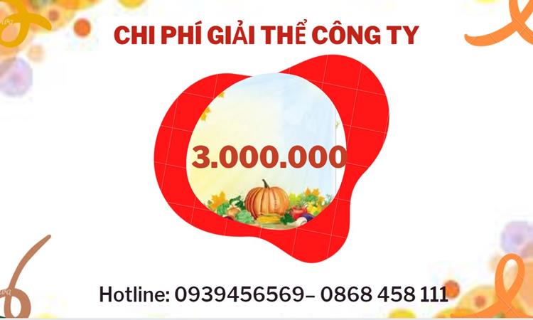 THỦ TỤC GIẢI THỂ DOANH NGHIỆP TẠI BÌNH ĐỊNH TRỌN GÓI 5 Bảng giá giải thể doanh nghiệp Bình Định trọn gói