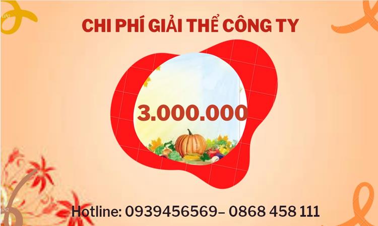 THỦ TỤC GIẢI THỂ DOANH NGHIỆP TẠI BÌNH PHƯỚC TRỌN GÓI 5 Bảng giá giải thể doanh nghiệp Bình Phước trọn gói