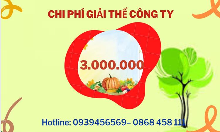 THỦ TỤC GIẢI THỂ DOANH NGHIỆP TẠI ĐẮK NÔNG TRỌN GÓI 5 Bảng giá giải thể doanh nghiệp Đắk Nông trọn gói