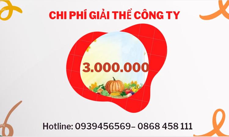 Bảng giá giải thể doanh nghiệp Hải Phòng trọn gói