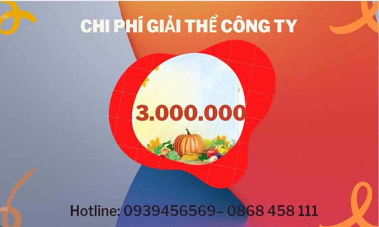 Bảng giá giải thể doanh nghiệp Huyện Bình Lục trọn gói