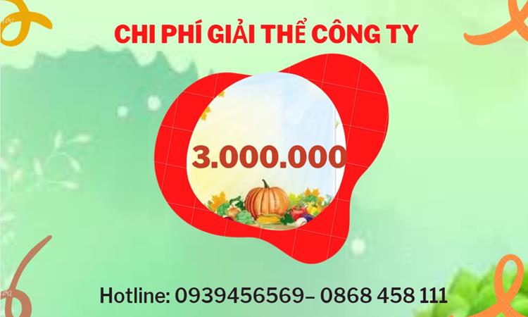 Bảng giá giải thể doanh nghiệp Huyện Cần Giờ trọn gói