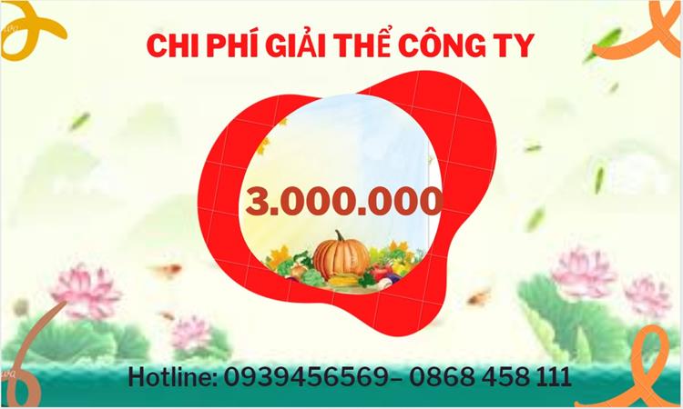 THỦ TỤC GIẢI THỂ DOANH NGHIỆP TẠI HUYỆN HÓC MÔN TRỌN GÓI 5 Bảng giá giải thể doanh nghiệp Huyện Hóc Môn trọn gói