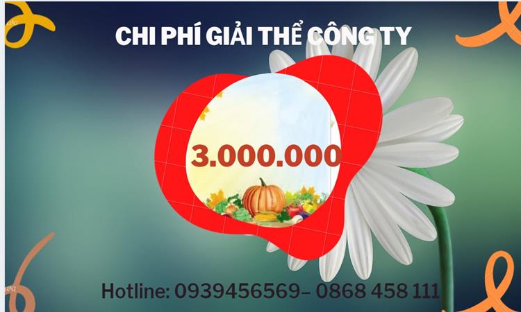 THỦ TỤC GIẢI THỂ DOANH NGHIỆP TẠI HUYỆN LÝ NHÂN TRỌN GÓI 5 Bảng giá giải thể doanh nghiệp Huyện Lý Nhân trọn gói