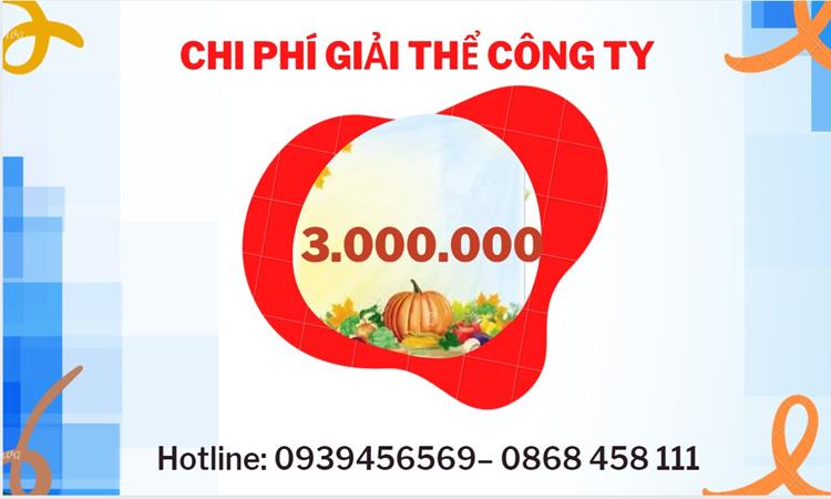 Bảng giá giải thể doanh nghiệp Huyện Phú Xuyên trọn gói