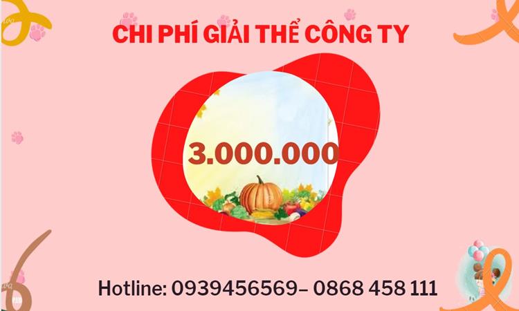 Bảng giá giải thể doanh nghiệp Huyện Sóc Sơn trọn gói
