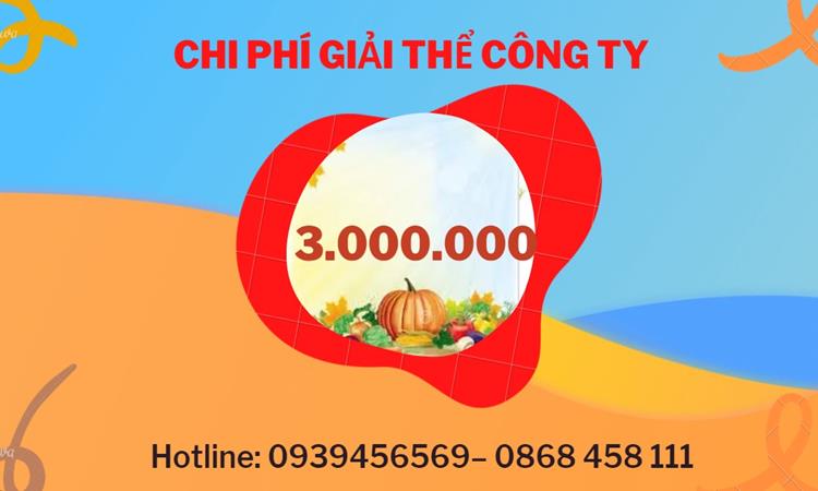 Bảng giá giải thể doanh nghiệp Huyện Văn Giang trọn gói
