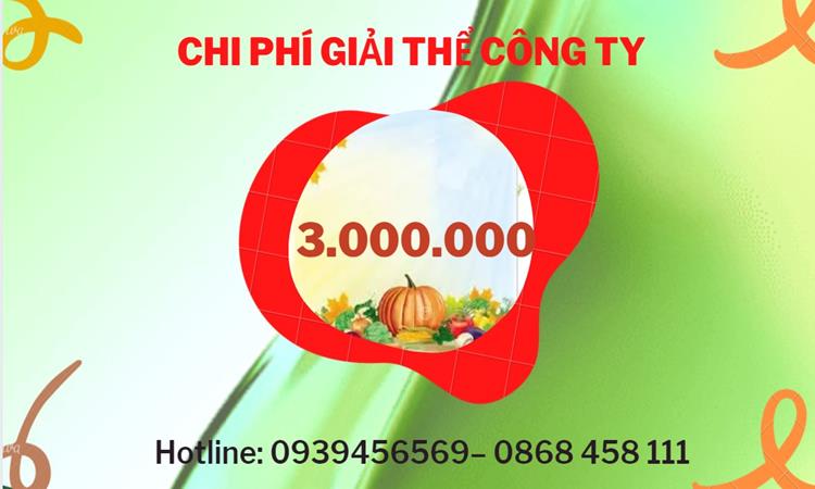 Bảng giá giải thể doanh nghiệp Huyện Vĩnh Thạnh trọn gói