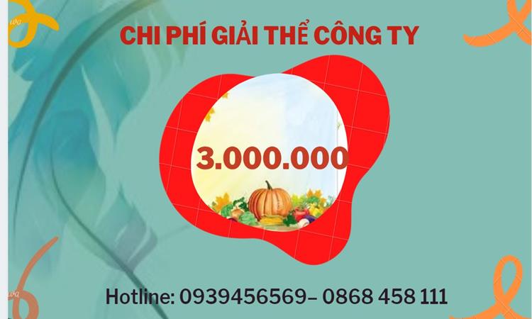 THỦ TỤC GIẢI THỂ DOANH NGHIỆP TẠI KIÊN GIANG TRỌN GÓI 5 Bảng giá giải thể doanh nghiệp Kiên Giang trọn gói