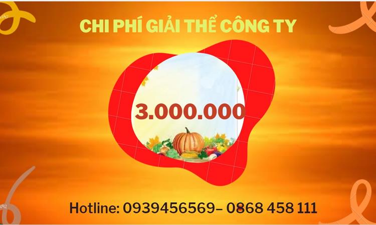 THỦ TỤC GIẢI THỂ DOANH NGHIỆP TẠI LẠNG SƠN TRỌN GÓI 5 Bảng giá giải thể doanh nghiệp Lạng Sơn trọn gói