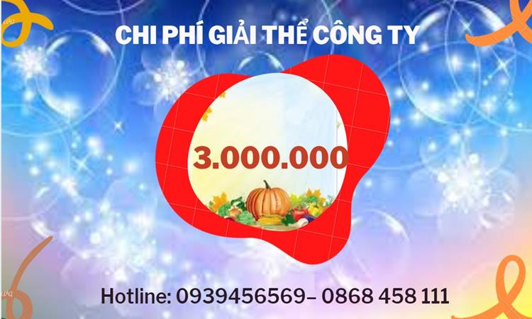 THỦ TỤC GIẢI THỂ DOANH NGHIỆP TẠI NINH THUẬN TRỌN GÓI 5 Bảng giá giải thể doanh nghiệp Ninh Thuận trọn gói
