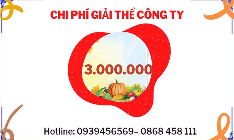 Bảng giá giải thể doanh nghiệp Quận Bình Tân trọn gói