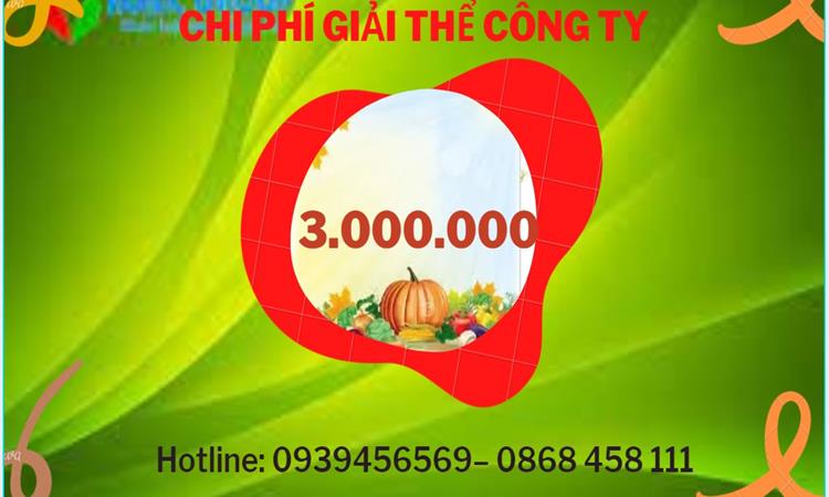 Bảng giá giải thể doanh nghiệp Quận Thốt Nốt trọn gói