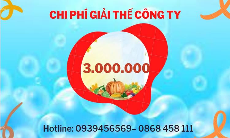 THỦ TỤC GIẢI THỂ DOANH NGHIỆP TẠI THÁI BÌNH TRỌN GÓI 5 Bảng giá giải thể doanh nghiệp Thái Bình trọn gói