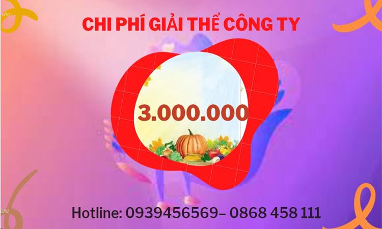 THỦ TỤC GIẢI THỂ DOANH NGHIỆP TẠI THÀNH PHỐ ĐÀ NẴNG TRỌN GÓI 5 Bảng giá giải thể doanh nghiệp Thành Phố Đà Nẵng trọn gói