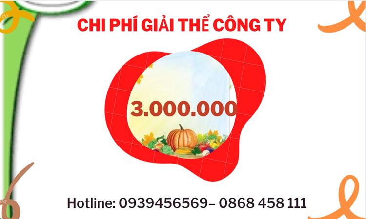 Bảng giá giải thể doanh nghiệp TP Đà Nẵng trọn gói