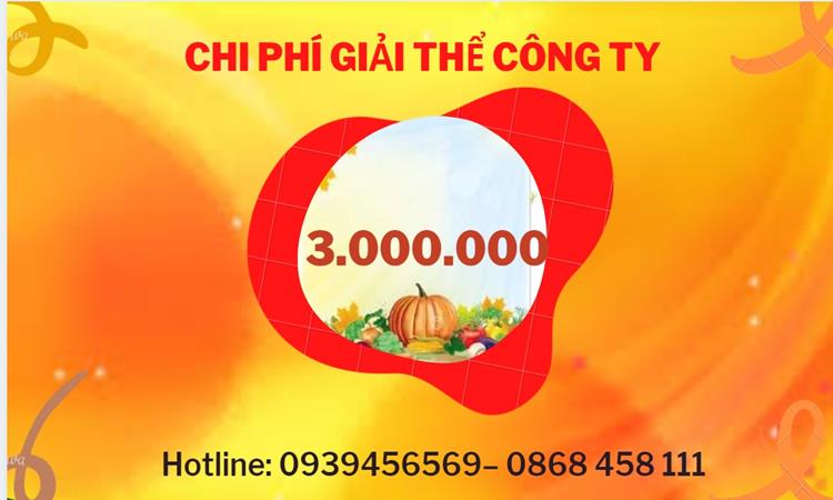 THỦ TỤC GIẢI THỂ DOANH NGHIỆP TẠI VŨNG TÀU TRỌN GÓI 5 Bảng giá giải thể doanh nghiệp Vũng Tàu trọn gói
