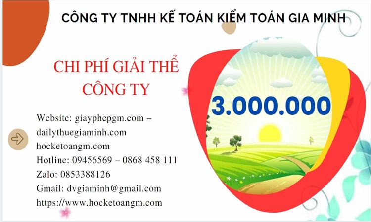 Chi phí giải thể công ty tại Bình Định trọn gói