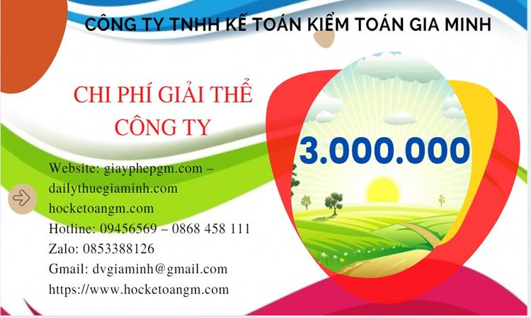 Chi phí giải thể công ty tại Điện Biên trọn gói