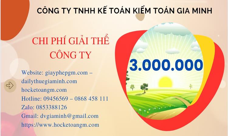 Chi phí giải thể công ty tại Huyện Thanh Liêm trọn gói
