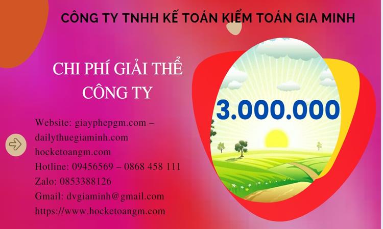 Chi phí giải thể công ty tại Quận Đống Đa trọn gói