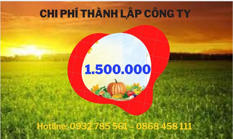 Chi phí mở công ty mua bán ô tô - xe máy tại Bình Thuận