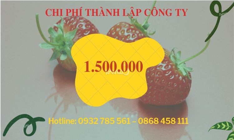 Chi phí mở công ty mua bán ô tô - xe máy tại Huyện Gia Lâm