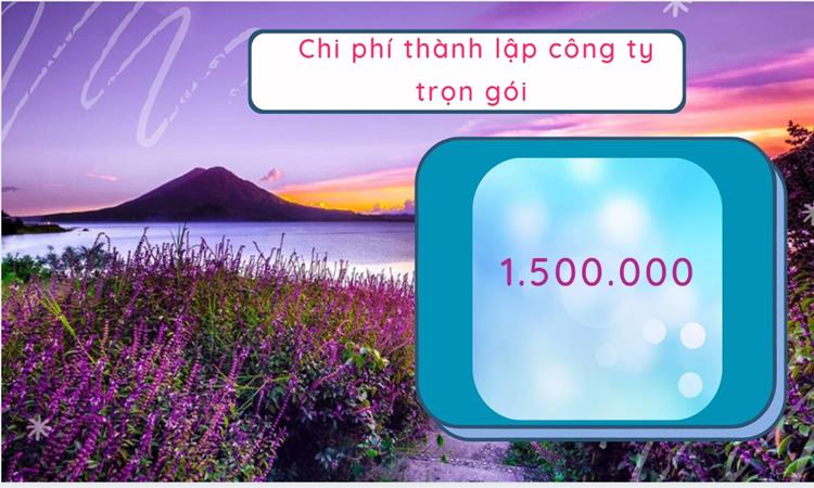 Chi phí thành lập công ty nông lâm thủy hải sản tại Vĩnh Phúc
