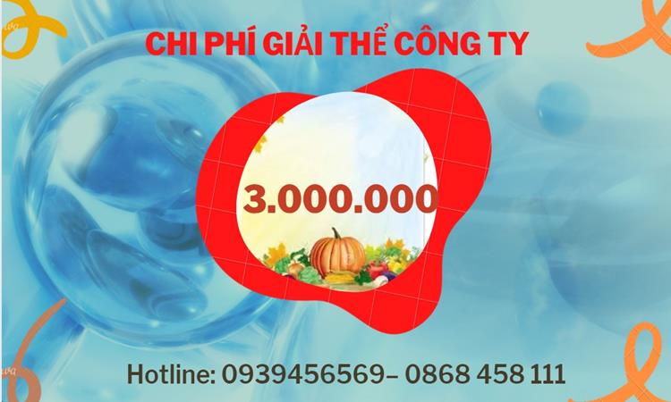 Thủ tục giải thể công ty tại Điện Biên | Dịch vụ uy tín – nhanh chóng – trọn gói 5 Dịch vụ giải thể công ty tại Điện Biên dịch vụ uy tín