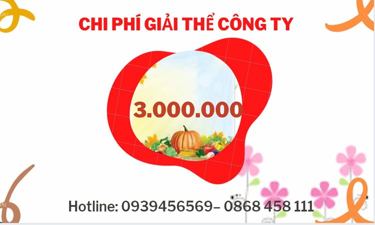 THỦ TỤC GIẢI THỂ CÔNG TY TẠI HUYỆN CẦN GIỜ DỊCH VỤ UY TÍN TỐT 5 Dịch vụ giải thể công ty tại Huyện Cần Giờ dịch vụ uy tín