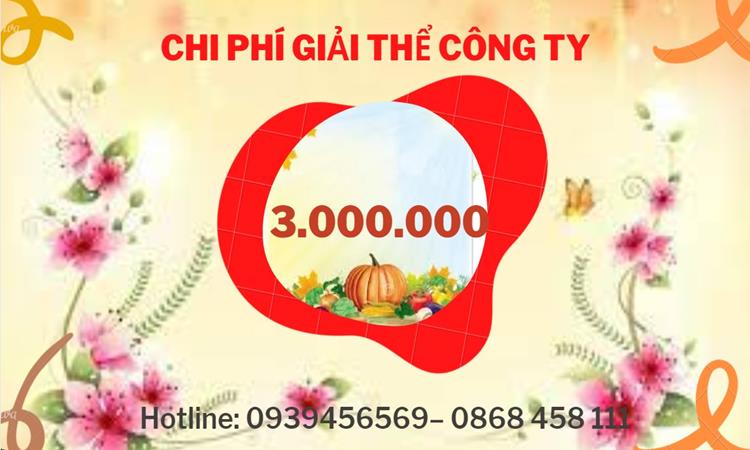 THỦ TỤC GIẢI THỂ CÔNG TY TẠI HUYỆN HÓC MÔN DỊCH VỤ UY TÍN TỐT 5 Dịch vụ giải thể công ty tại Huyện Hóc Môn dịch vụ uy tín