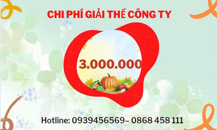THỦ TỤC GIẢI THỂ CÔNG TY TẠI HUYỆN PHONG ĐIỀN DỊCH VỤ UY TÍN TỐT 5 Dịch vụ giải thể công ty tại Huyện Phong Điền dịch vụ uy tín
