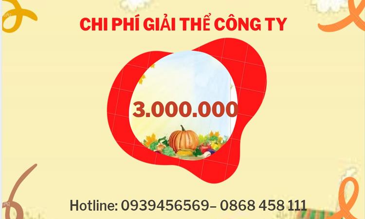 Dịch vụ giải thể công ty tại Huyện Sóc Sơn dịch vụ uy tín 