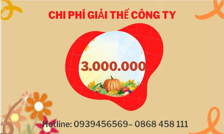 THỦ TỤC GIẢI THỂ CÔNG TY TẠI HUYỆN THANH OAI DỊCH VỤ UY TÍN TỐT 5 Hướng dẫn giải thể công ty tại Huyện Thanh Oai dịch vụ uy